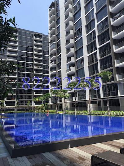 La Fiesta (D19), Condominium #126542262